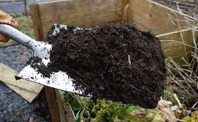 Preparing The Vegetable Garden For Winter