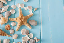 17 Ideas Of Beach Wall Decor And Other