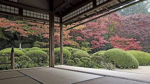 Japan Garden Trees Courtyard Zen