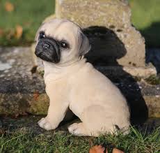 Uk Garden Supplies Pug Puppy Garden