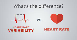 Heart Rate Variability Vs Heart Rate