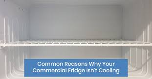 Commercial Fridge Isn T Cooling