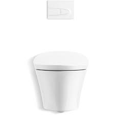 Wall Hung Toilet With Dual Flush