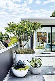 Terrace Garden Ideas For Your Roof