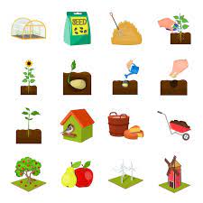 Farm Cartoon Set Icon Organic Garden