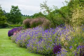 How To Plan A Border Rhs