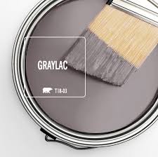 Trend Color Spotlight Graylac