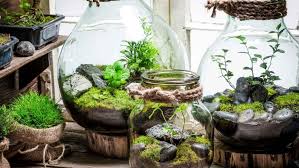 How To Create An Indoor Garden For Kids