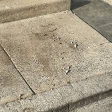 Bq Basements Concrete Closed
