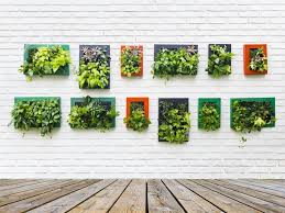 Ultimate Guide To Vertical Gardens