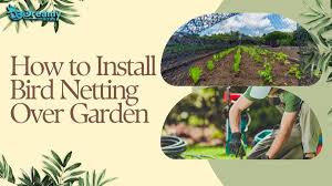 How To Install Bird Netting Over Garden