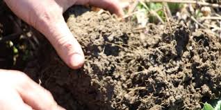 Improving High Clay Soils Ohio Ag Net