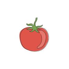 Healthy Organic Tomato
