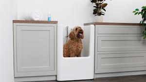 Incredible Dog Shower Incredible Dog