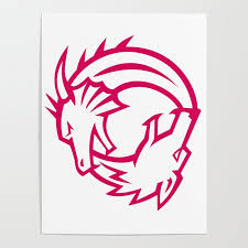 Yin Yang Dragon And Wolf Icon Poster By