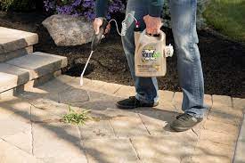 What Are Weed Control Solutions For