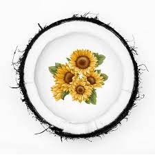 Sunflower подсолнухи Highlights Icon