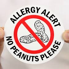 Allergy Alert No Peanuts Please Decal Signs