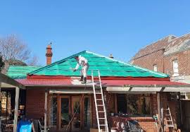 Roof Painting Pitcher Perfect Roofing