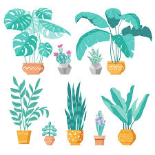 Collection Of Home Potted Plants Vector