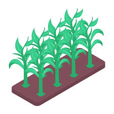An Isometric Icon Of Farming Bed