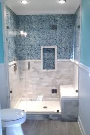 Ina Shower Door Frameless Shower