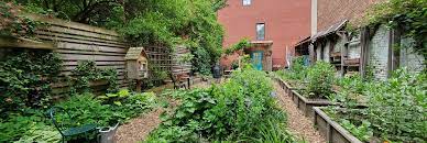How To Join A Community Garden Nyc Parks