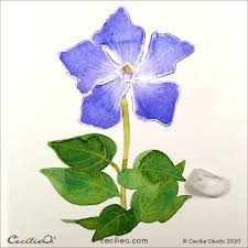 Blue Flower Tutorial
