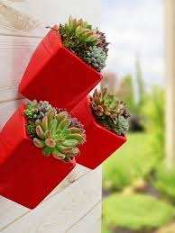 21 Best Wall Mounted Planters For