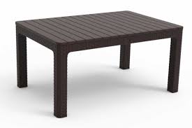 60x90 Rattan Whole Plastic Coffee