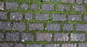 How To Clean Moss Off Patios Driveways