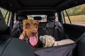 How To Keep Your Car Clean With Pets Via