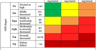 Estimated Glomerular Filtration Rate