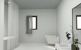 Should Shower Curtains Match Window
