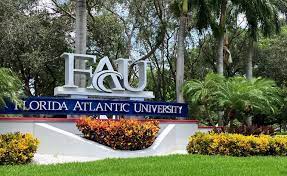 Fau Presidential Search Needs Do Over