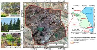 identification of urban green space