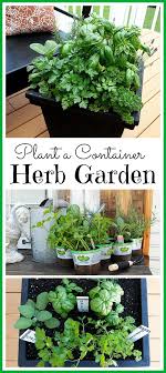 Tips For Planting A Container Herb Garden