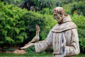 Of Assisi The Patron Saint Of Ecology