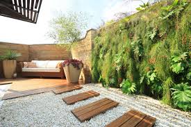 Tropical Garden With A Vertical Garden