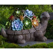 Evergreen Solar Succulent Turtle Garden