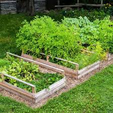 The How To S Of A Veggie Garden Layout