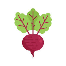 Farm Beet Icon Flat Vector Eco