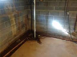 Basement Waterproofing