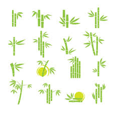 100 000 Bamboo Vector Images