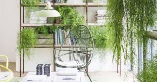 10 Best Indoor Hanging Plants That