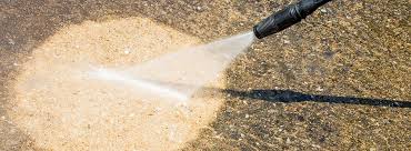 Removing Mold From Concrete How To