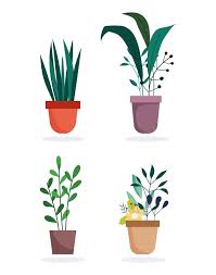 Potted Plants Icon Set 1256942 Vector