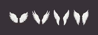 Angel Wing Outline Vector Images Over