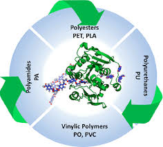 Enzymes Power For Plastics Degradation