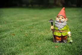 Gnomes Images